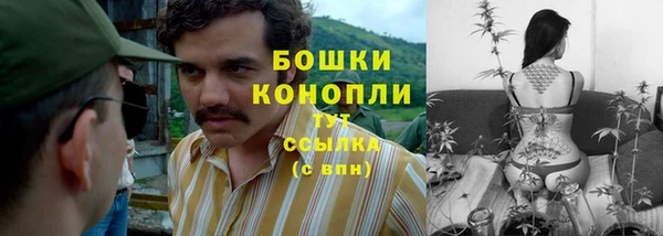эйфоретик Переславль-Залесский