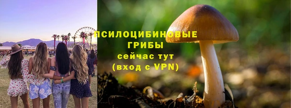 spice Пестово