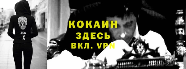 spice Пестово