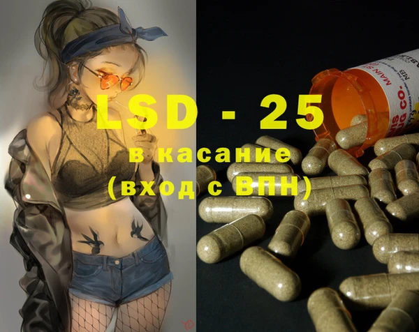 spice Пестово