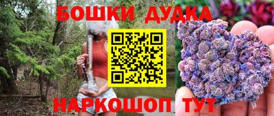 мдпв Заводоуковск
