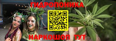 мдпв Заводоуковск