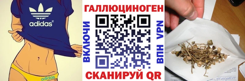blacksprut зеркало  наркота  Усть-Лабинск  Псилоцибиновые грибы GOLDEN TEACHER 