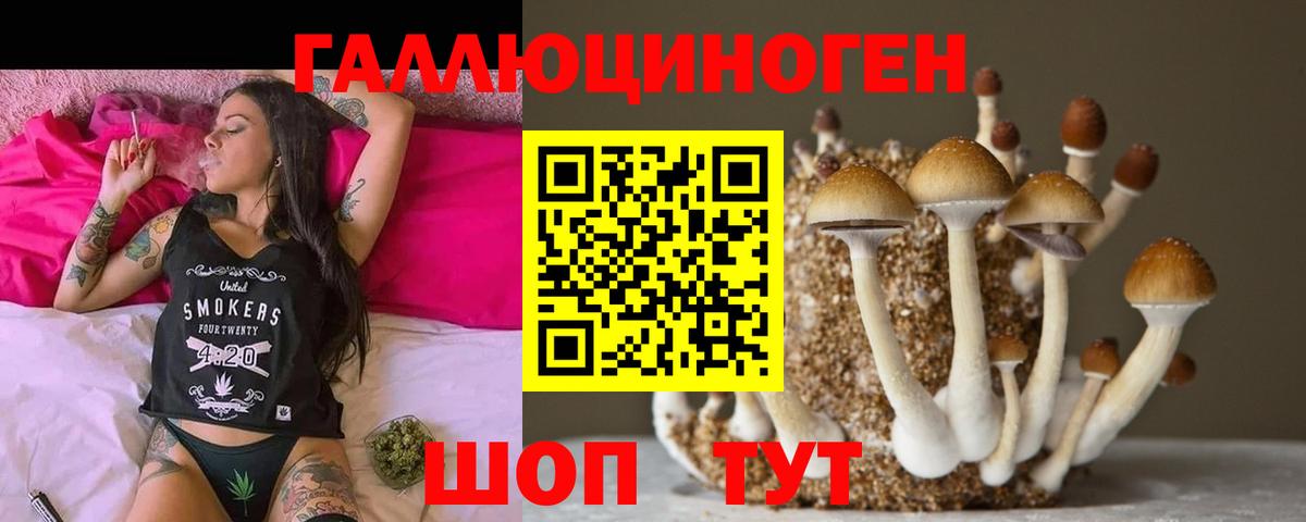 Галлюциногенные грибы Magic Shrooms Усть-Лабинск